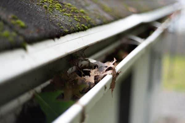 Dryer Vents