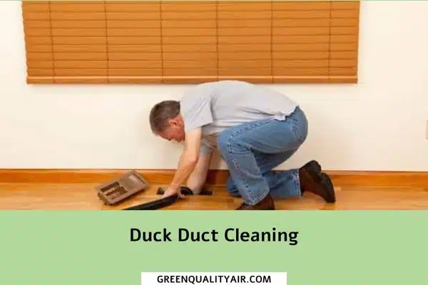 Duck Duct Cleaning