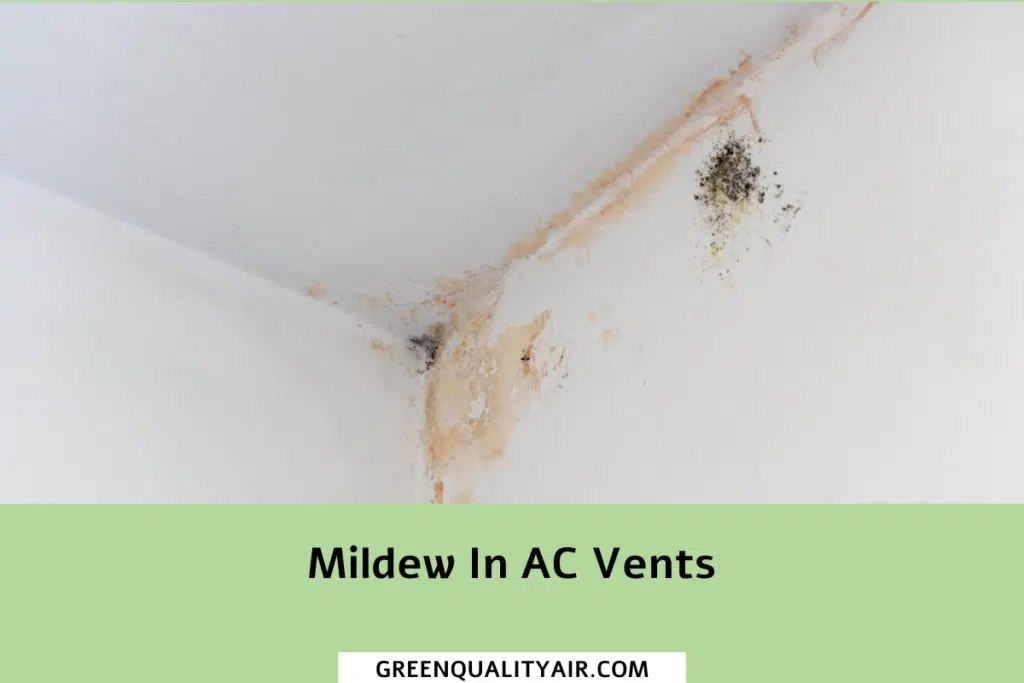Mildew In AC Vents