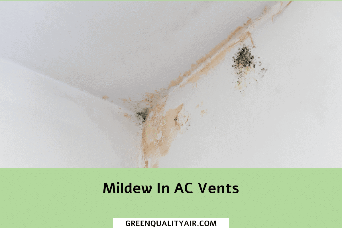 Mildew In AC Vents Green Quality Air