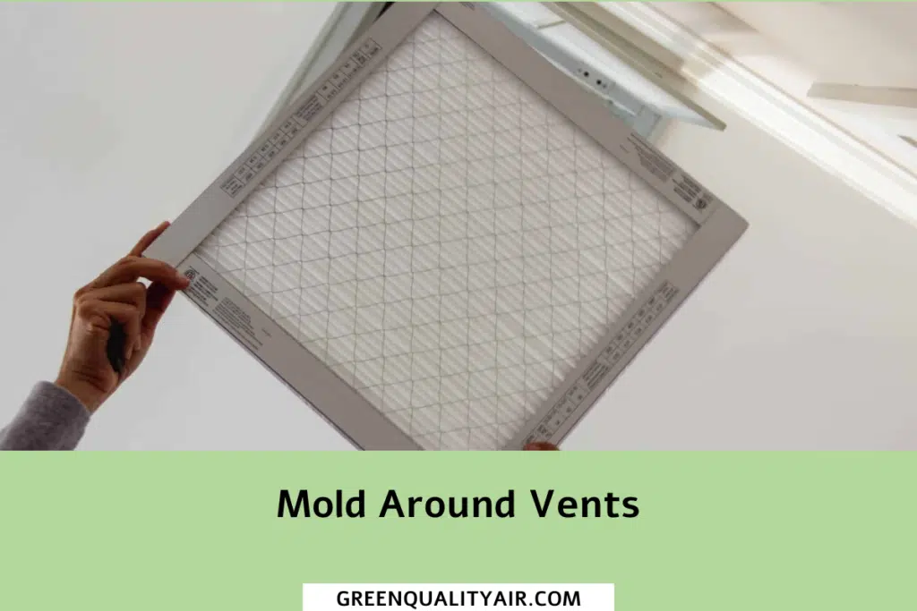 Mold Around Vents