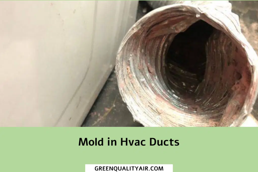 Mold in Hvac Ducts